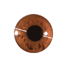 oculography icon (3K)