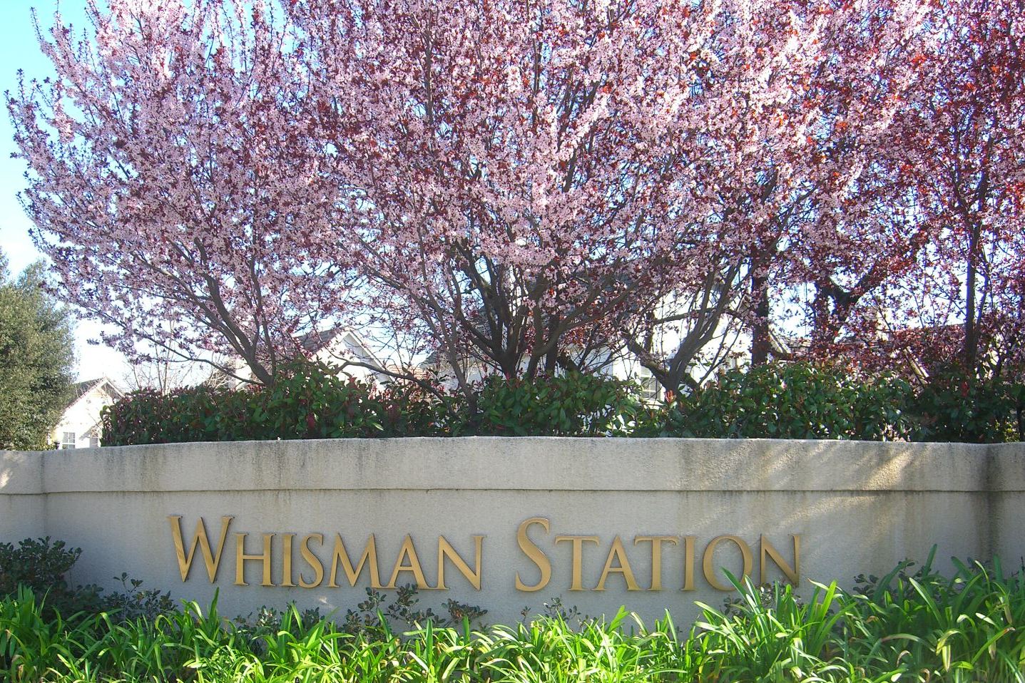 Picture of Community Entrance
